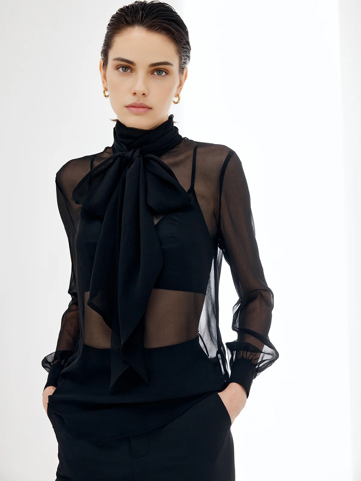 Sheer Bow Chiffon Blouse - Takermore